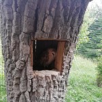 avespark04