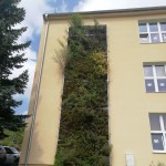 avespark12