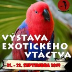 vystava exotickeho vtactva Chtelnica 2019