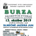 burza4