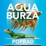 aqua burza