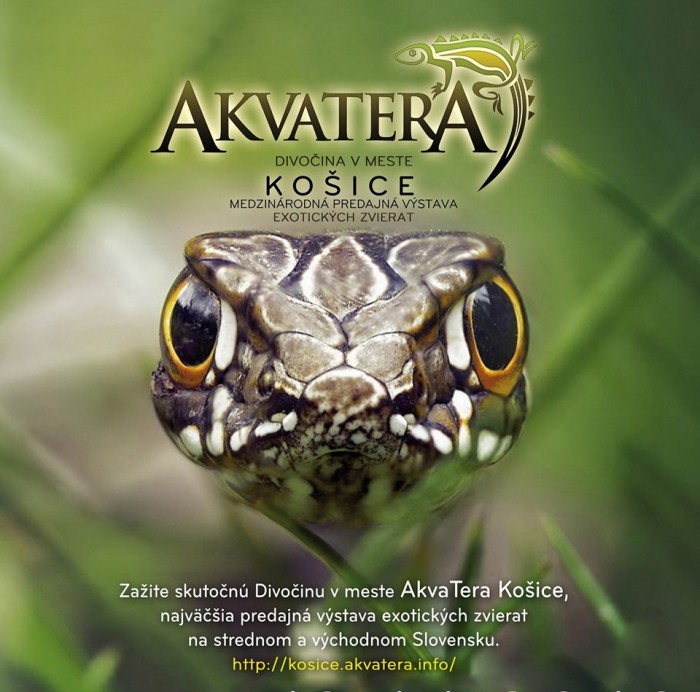 akvatera