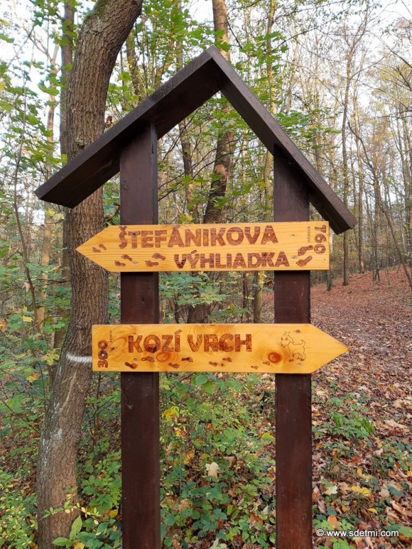 IMG 20191101 144704498
