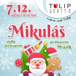 Mikulas Tulip 2019 sdetmicom