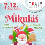 Mikulas Tulip 2019 sdetmicom