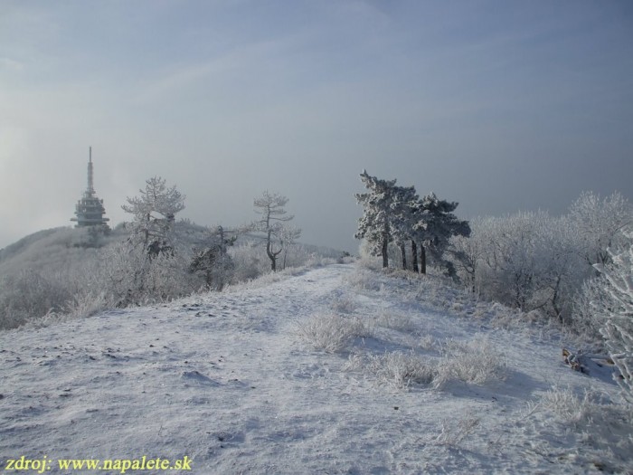 zobor