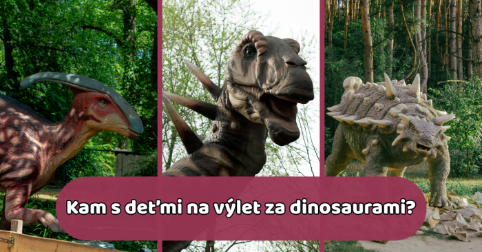 Detske zony zadarmo pocas nakupov 1
