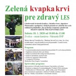 82024376 976781382706810 4617138427870052352 o