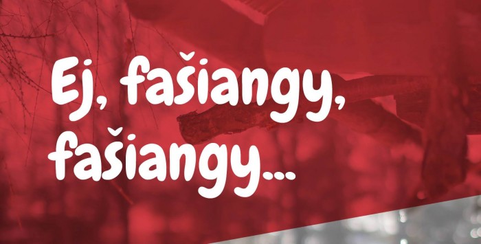 fasiangy 2