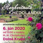 medolandia 06062020