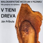 V tieni dreva