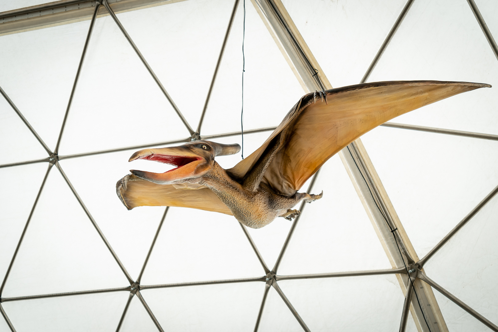 Dinopark Tatry SDE MI