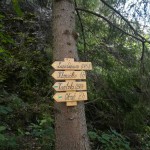 IMG 20200806 102925