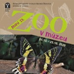 MiniZOO 2020 web