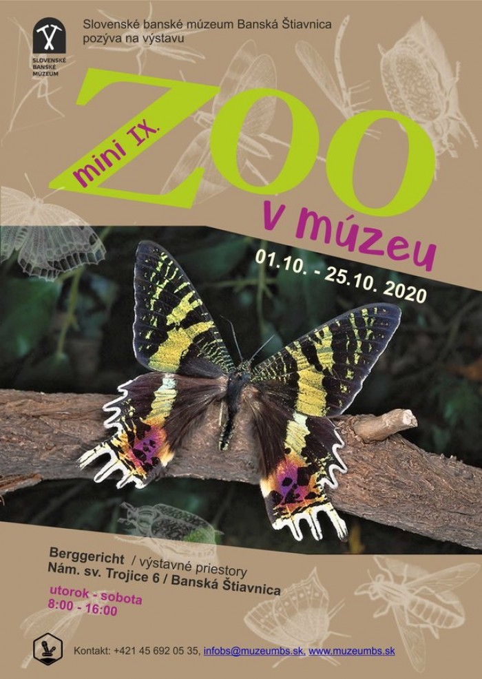 MiniZOO 2020 web