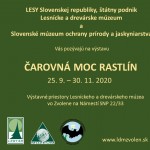 pozvanka carovna moc rastlin