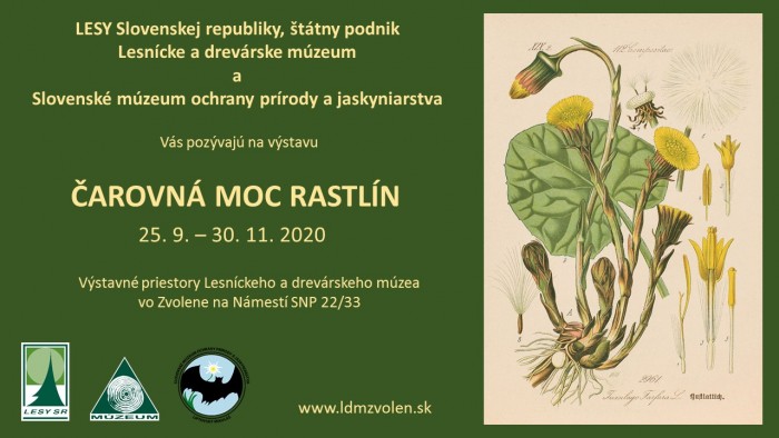 pozvanka carovna moc rastlin