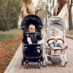 two young mothers walking autumn park with carriages 1157 27781