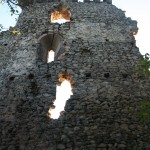 slanec