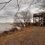 IMG 20210130 143508307 HDR