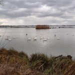 IMG 20210130 145019897 HDR