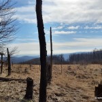 IMG 20210228 125650457 HDR