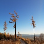 IMG 20211029 162857331