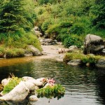 wolkerove tatry portal