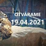 zoo kosic