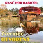 ranc pod babicou