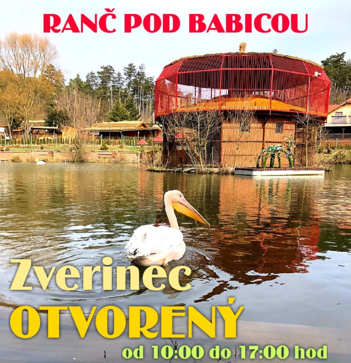 ranc pod babicou