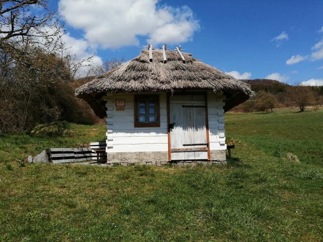 vecernicek05