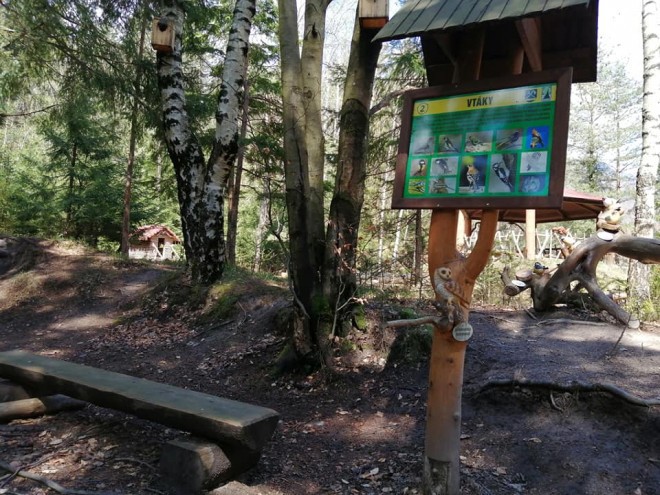 detskychodnik19