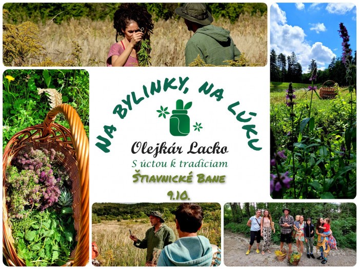 243898435 228115042717816 8083899002313209168 n