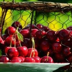 cherries 1513949 640