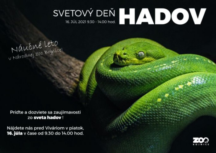 hady