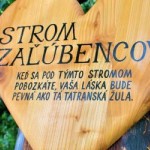 strom zalubencov smokovec 