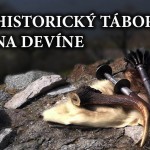 historicky tabor na devine banner hlavny