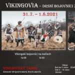 202107171319160.2 vikingovia