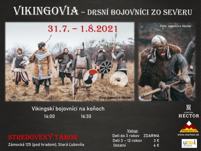 202107171319160.2 vikingovia