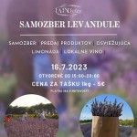 FB IMG 1689497303647