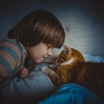 cat 1045180 1920