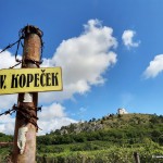 IMG 20210802 103927466 HDR