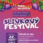 2021 SlivkovyFestivalMM