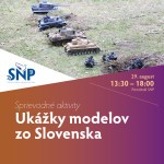 236890558 10161869576063636 4468850959309476811 n