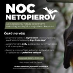 Noc netopierov novy plagat