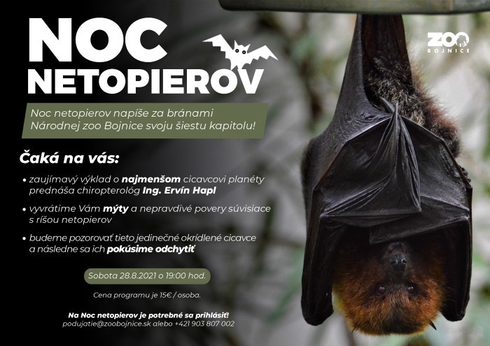 Noc netopierov novy plagat