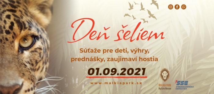 letak na sirku den seliem na stred bez cierneho