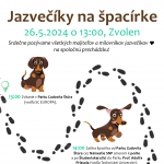 jazvecik