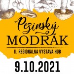 pezinsky modrak